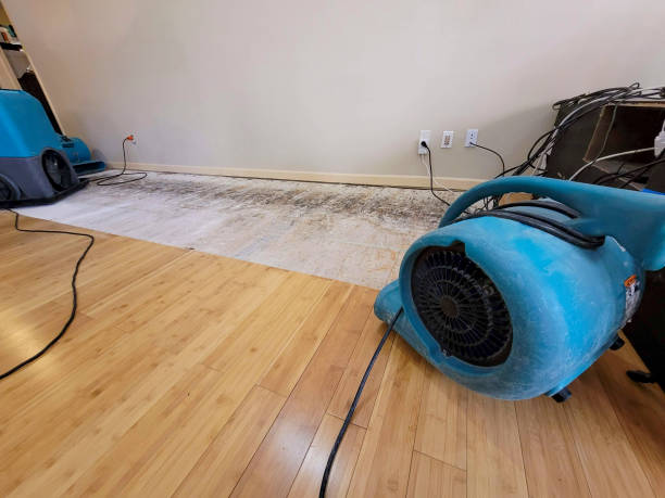 Professional Flood Damage Cleanup technician working in Plaquemine, LA